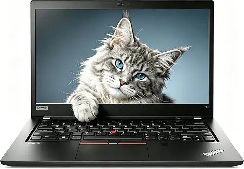 Lenovo ThinkPad T14 · Core i7 10610U · 16 GB
