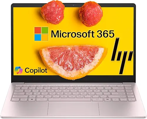 HP Portátil · N100 · 8 GB